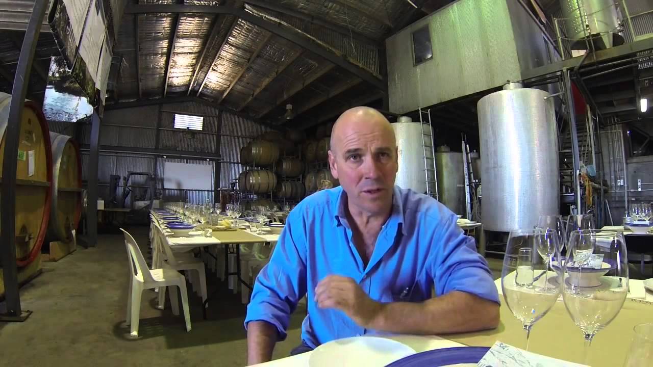 Understanding organic winemaking