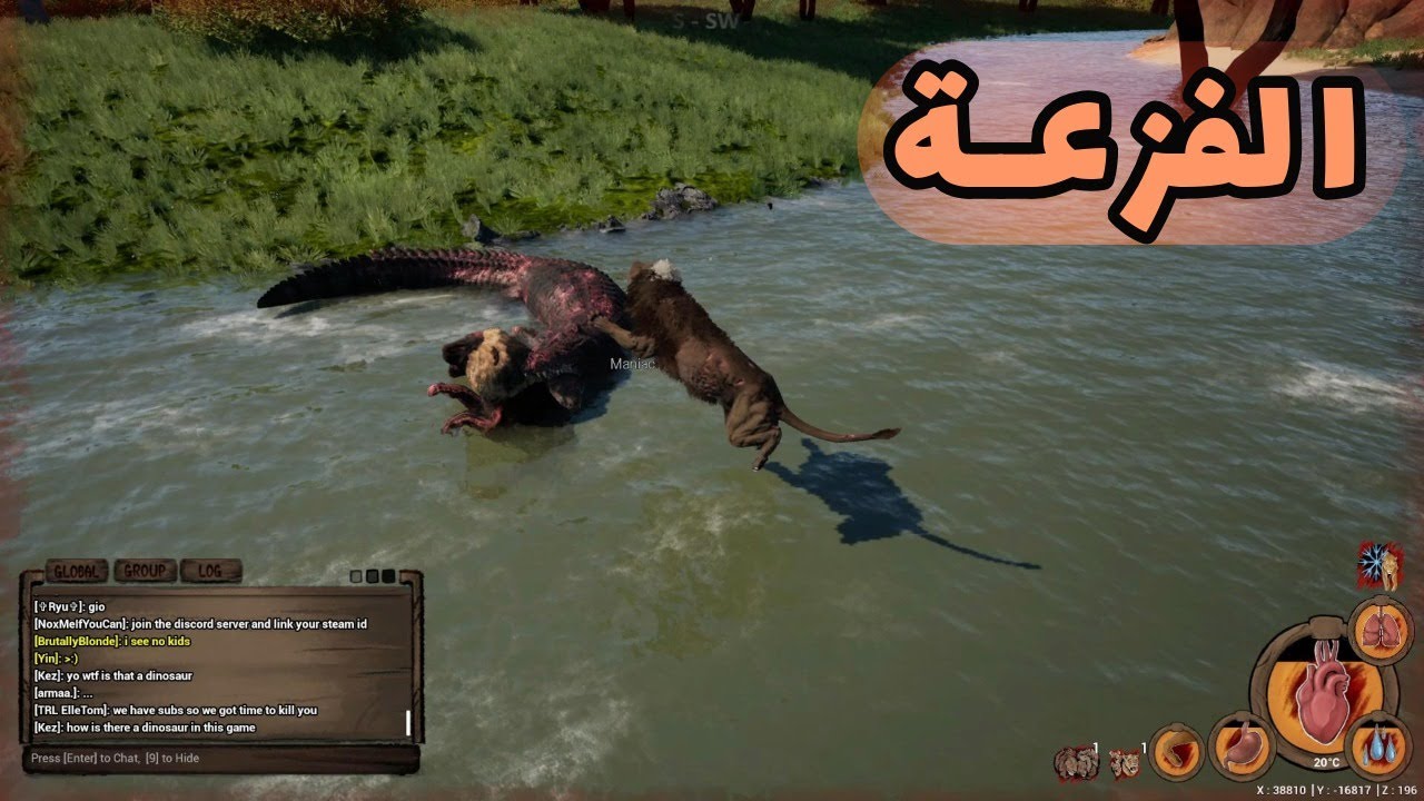انيميليا سرفايفل حياة الأسد #22  Iالفزعة Animalia Survival I