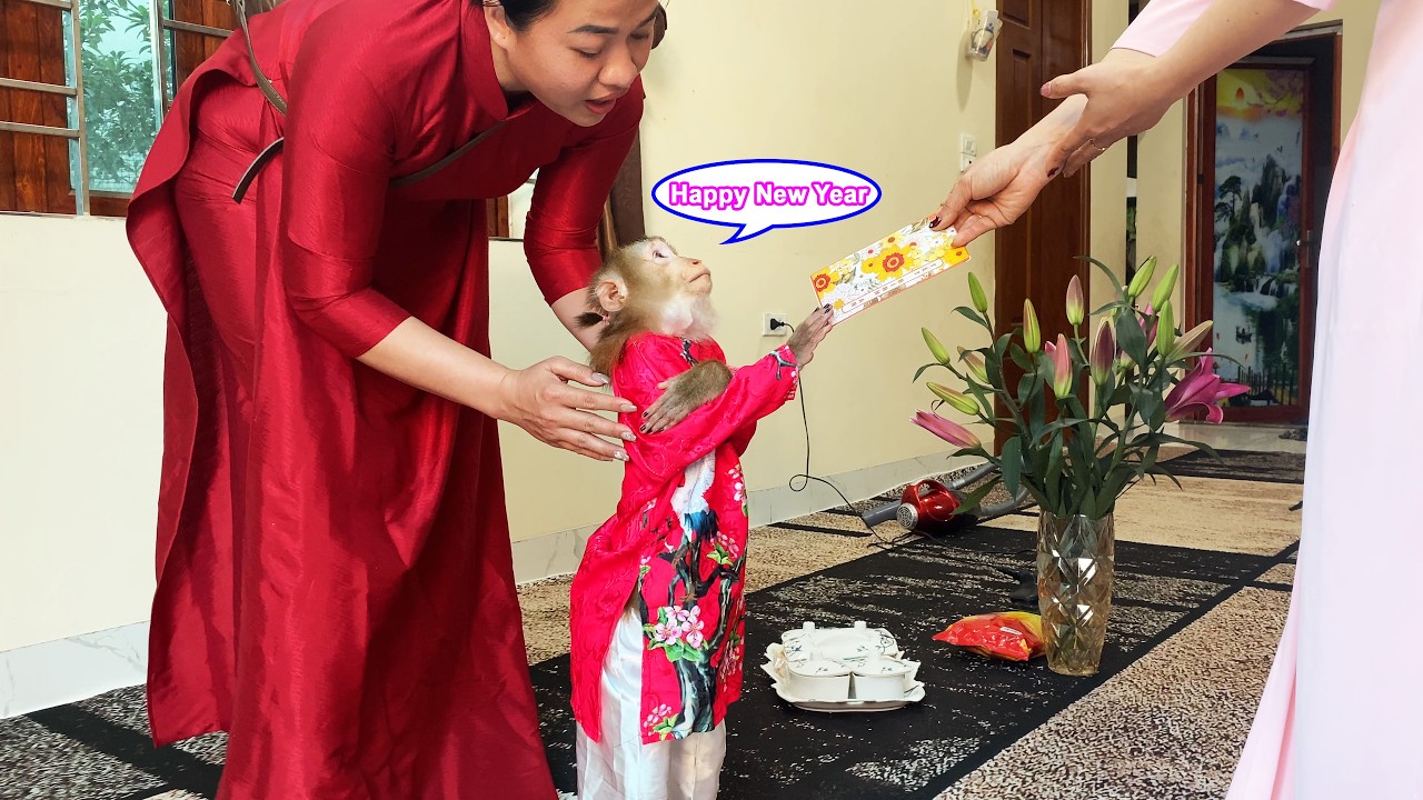 Monkey Lyly reacted affectionately when visiting her neighbor to wish them a Happy Lunar New Year.