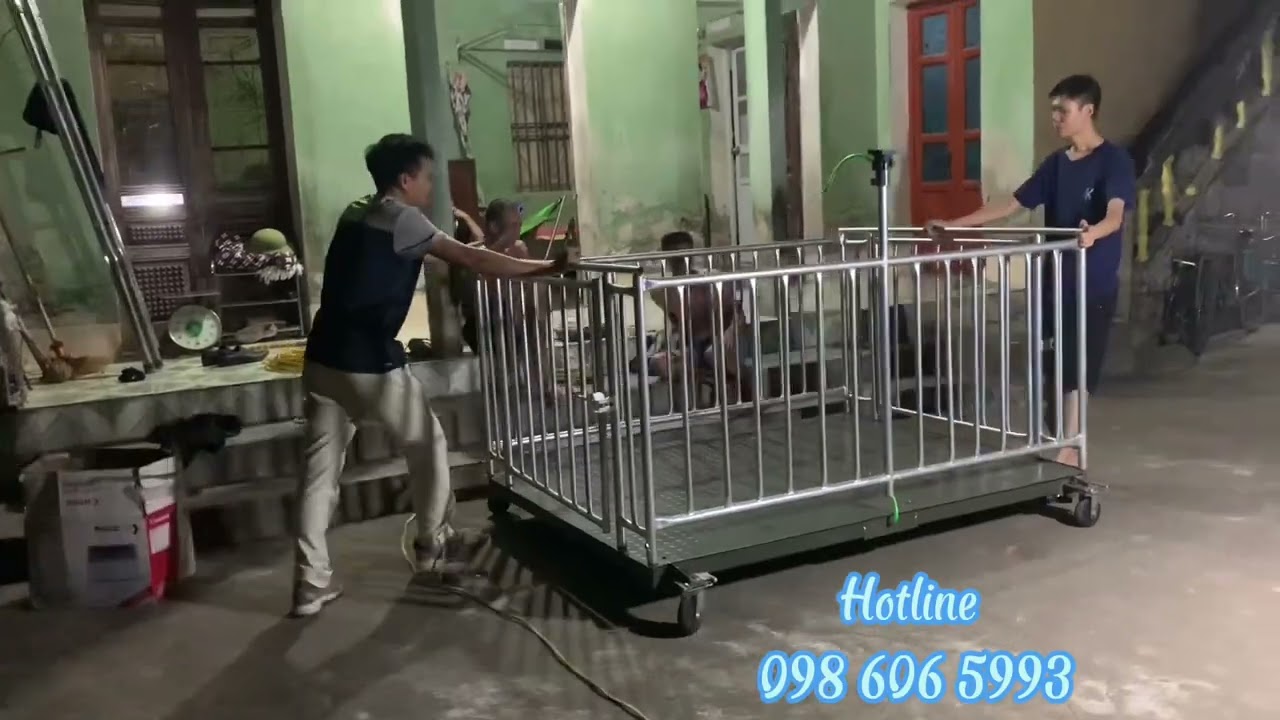 Giới thiệu về cân lồng heo 500kg 1 tấn có gắn bánh xe đẩy 360