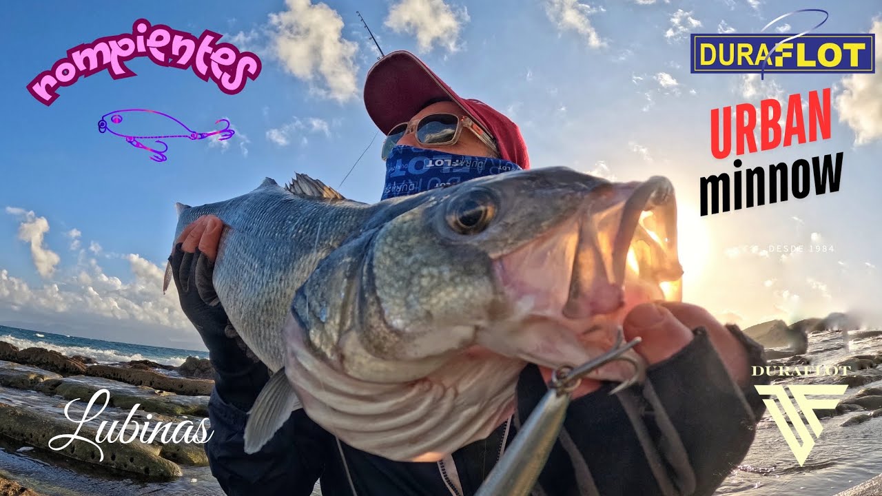 Pesca Spinning Costa : Buen robalo con DURAFLOT 