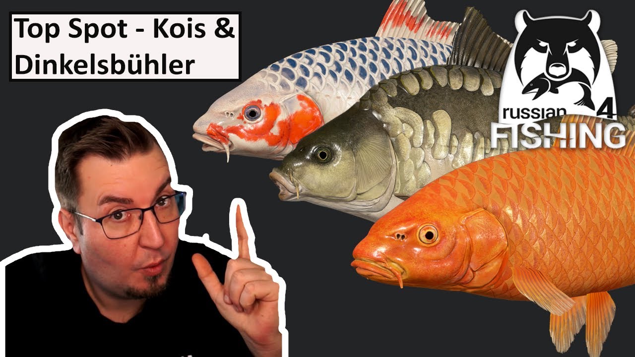 Top Spot Kois & Dinkelsbühler alle Arten Kupfersee | Russian Fishing 4 | Deutsch | UwF