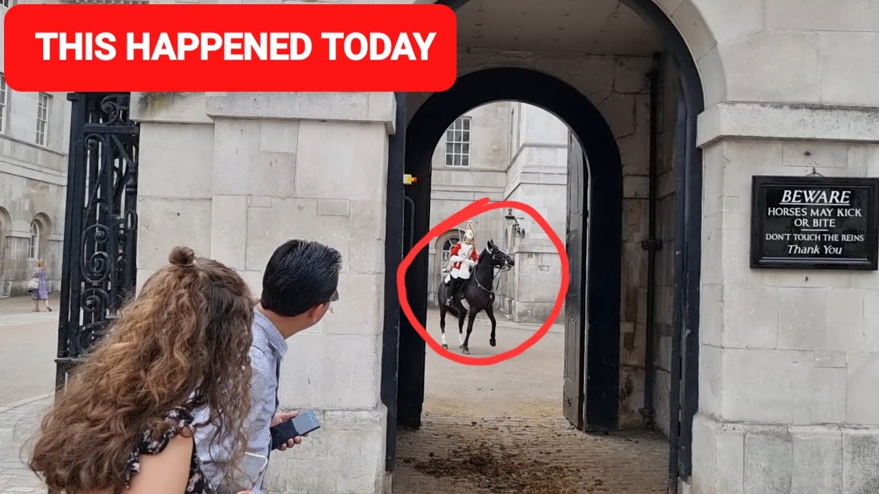 The King's Horse Refuses to Stay Inside his Stall