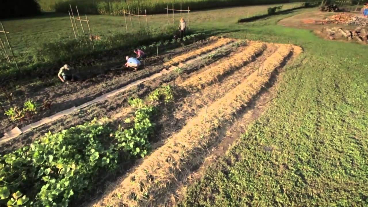 East Fork Farm Crowd Funding Video
