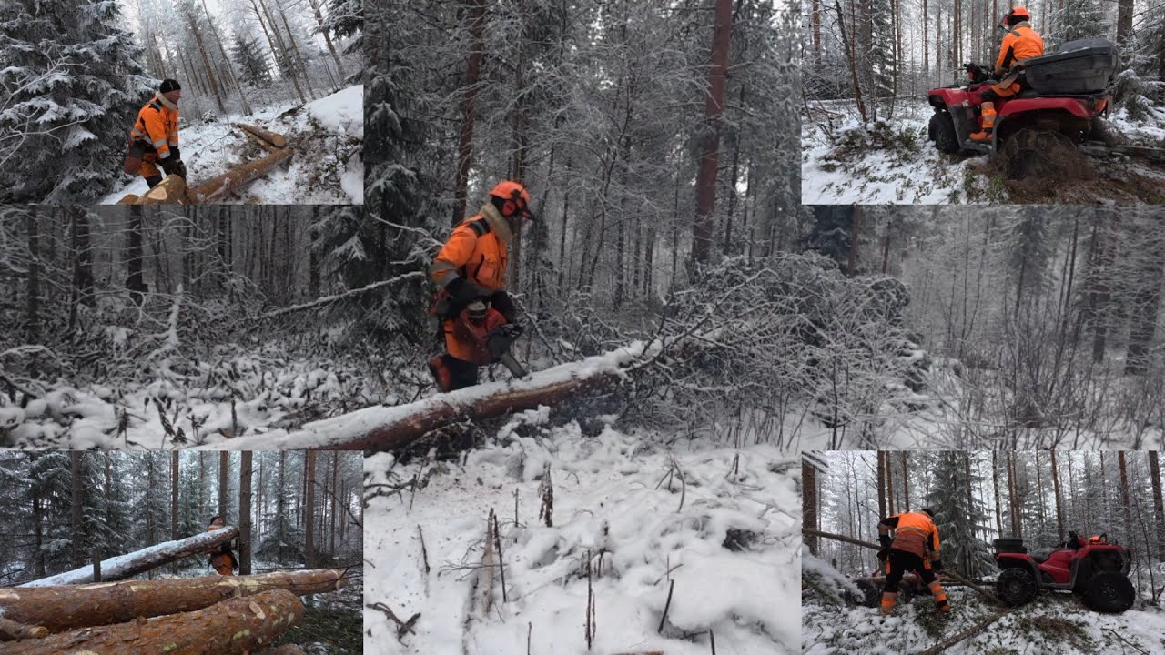 Myrskypuita hakemassa, kuormaajasta loppuu voima