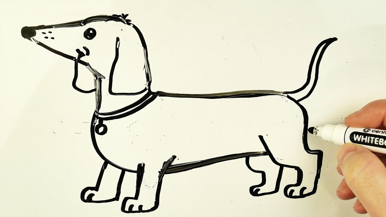 How to Draw a Dachshund Very Easy / Drawing Dog on a Whiteboard