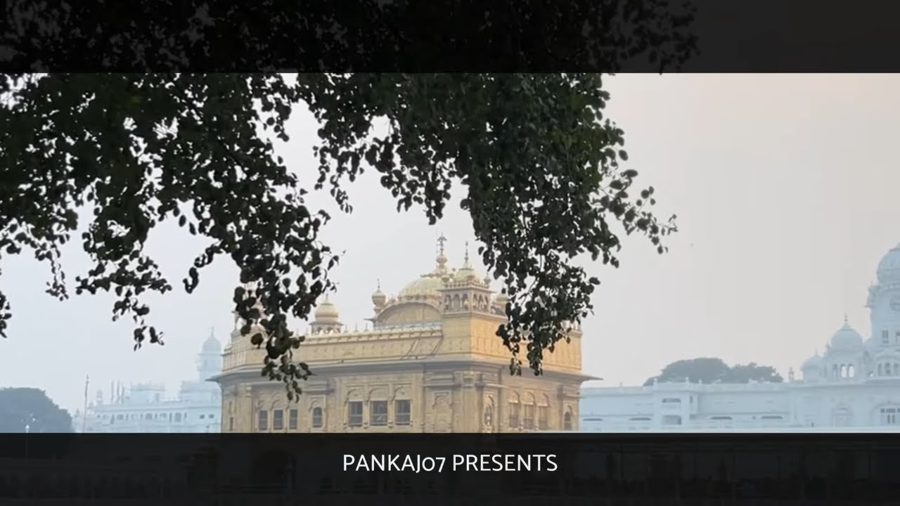 Amritsar road trip 😍 part 2 ❤️#goldentemple #entertainment #trip