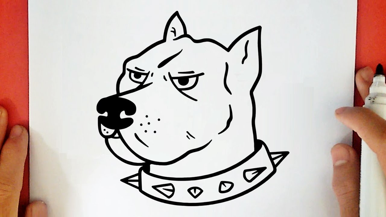 HOW TO DRAW A PITBULL