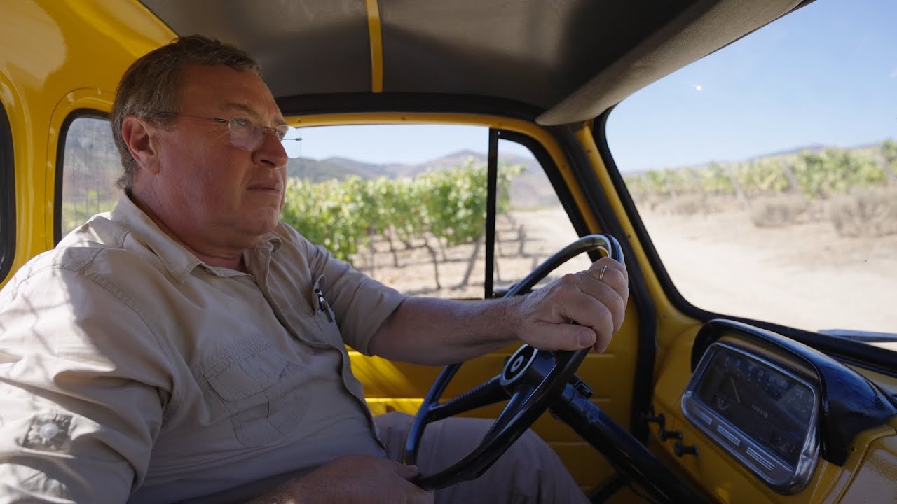 2025 Harvest Report - David Guimaraens - The Fladgate Partnership