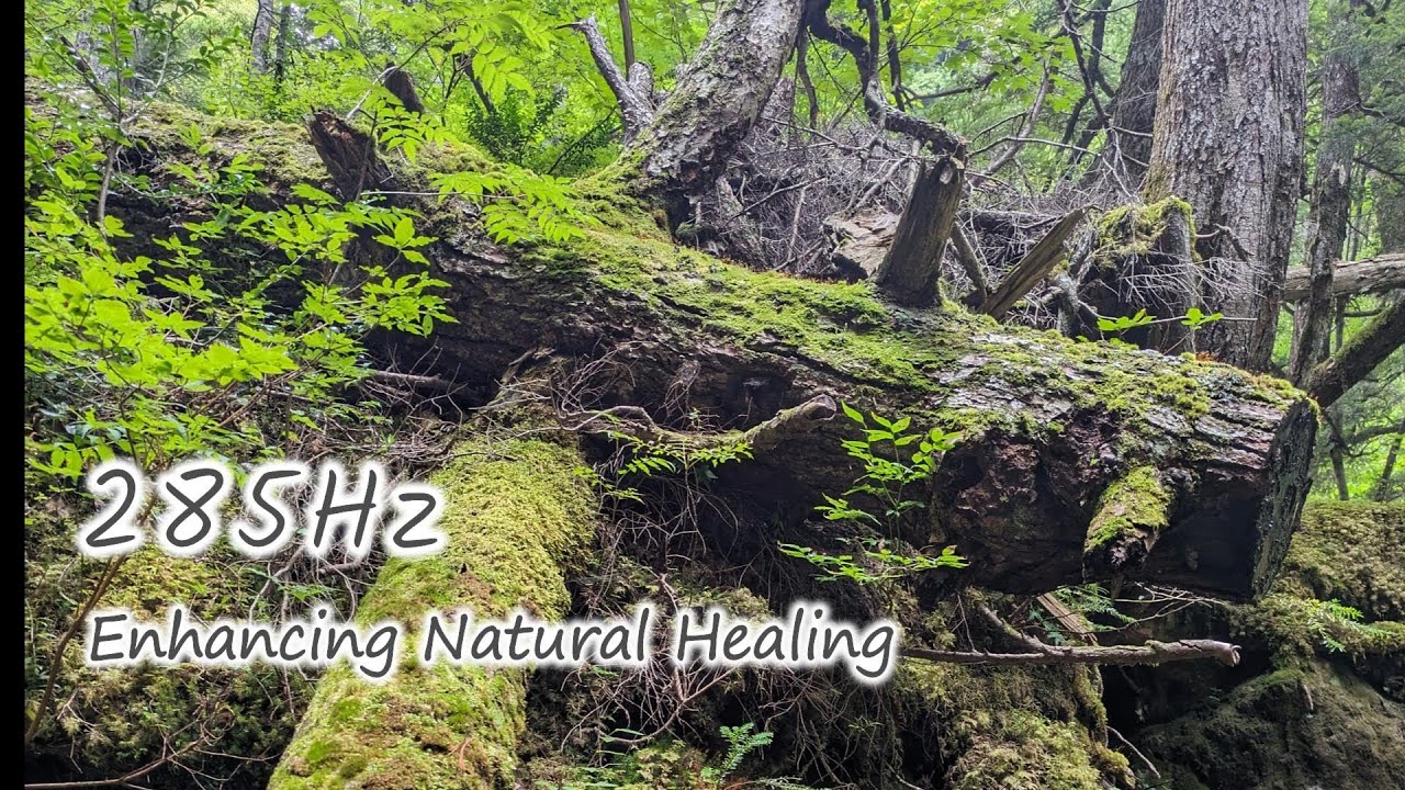 285Hz Solfeggio: Enhancing Natural Healing | Japanese Scenery ｜ Norikura Kogen