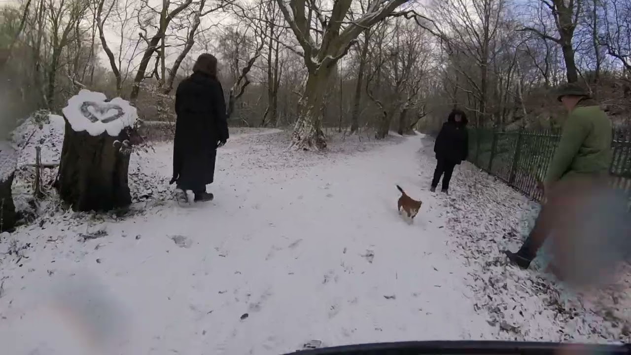 Let it snow - Kev's view (6)