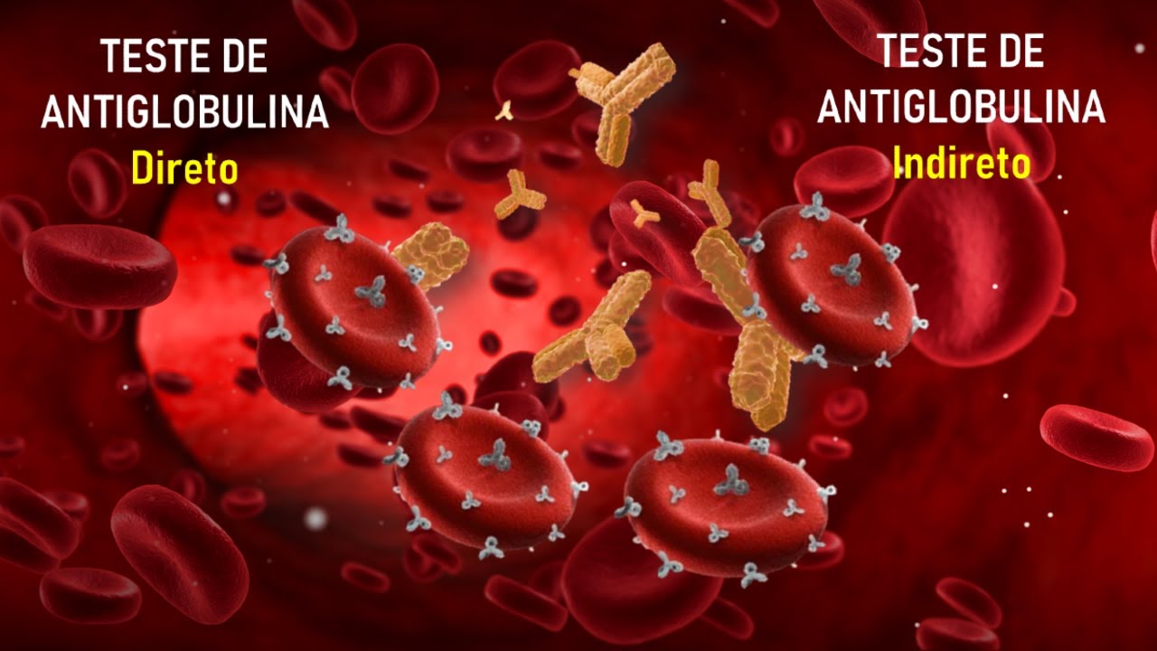 Teste de Coombs (TAD e TAI) Explicado de Forma Simples! | Nunca Mais Erre na Imuno-Hematologia