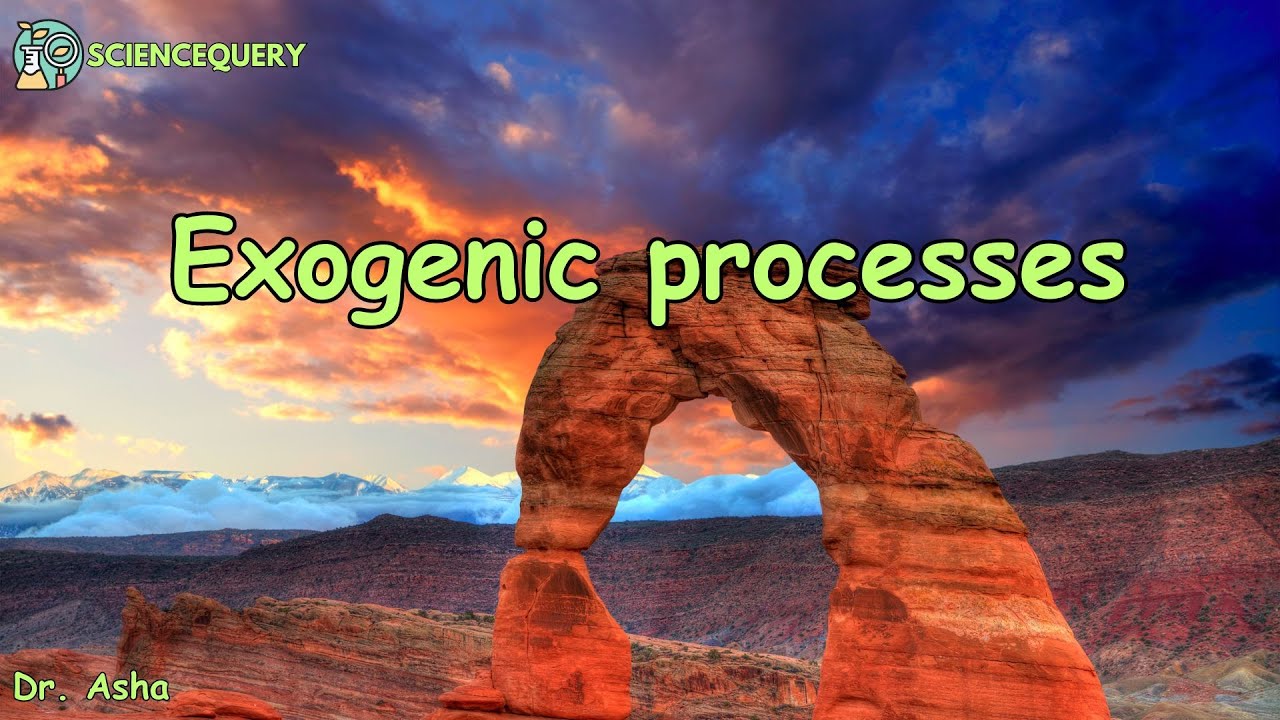 Exogenic processes