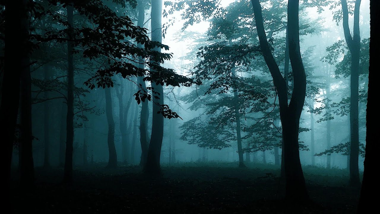 Darkpsy, Forest, Twilight Tripset Mix 2021 -  S@W I sik@work