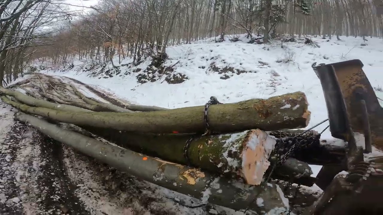 Prvá ťažba po výmene čerpadlá a presun lanovky do nového porastu . Stihl ms 462 a LKT MAN