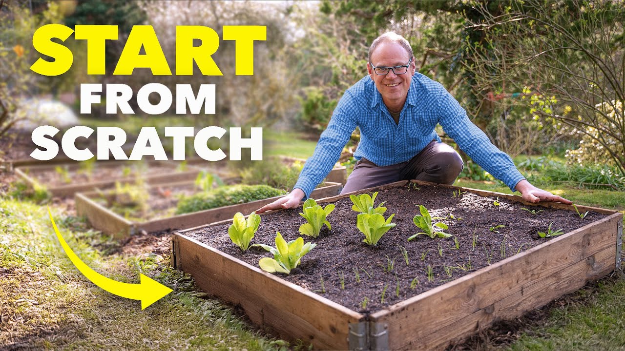 The Beginner Gardener’s Blueprint: No Experience Needed