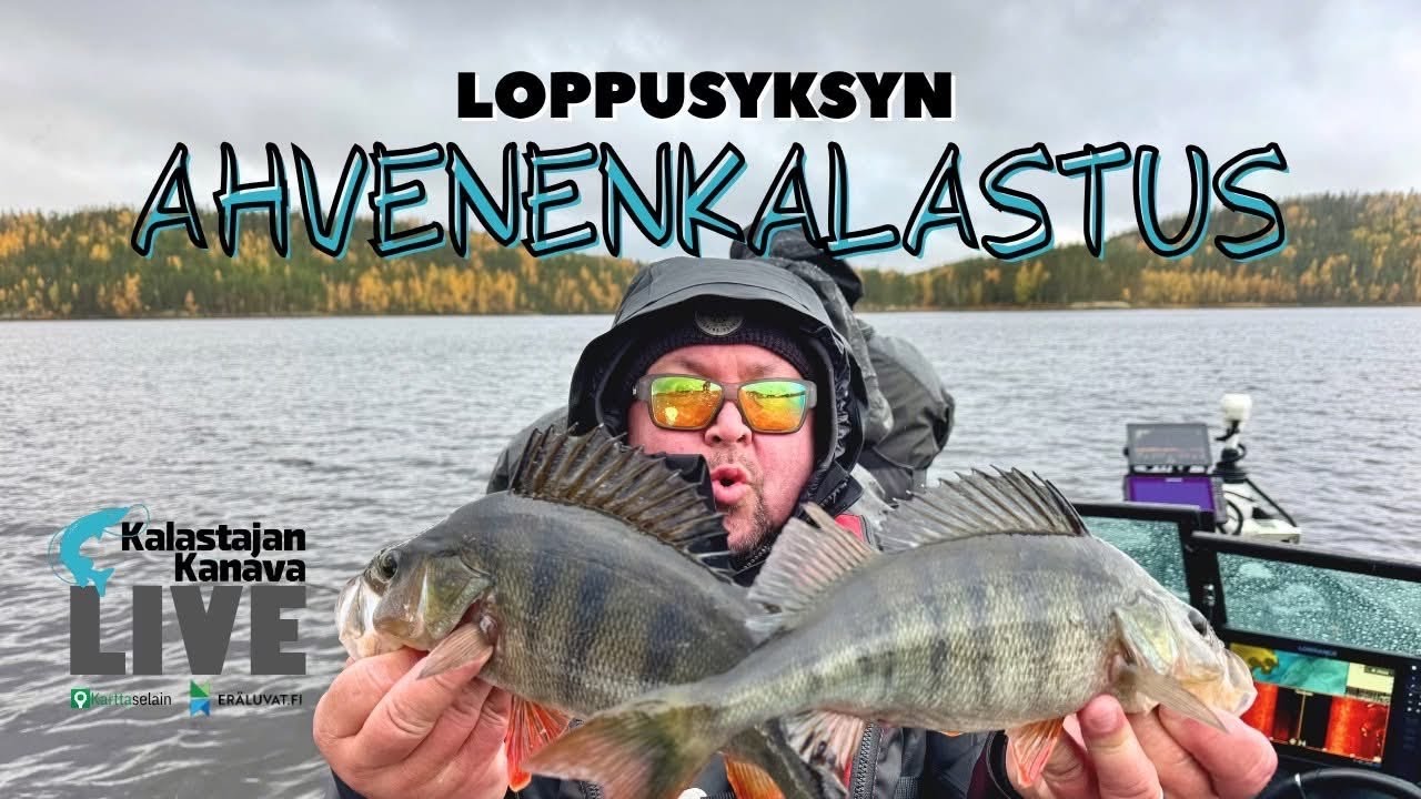 Loppusyksyn ahvenenkalastus | Kalastajan Kanavan Live
