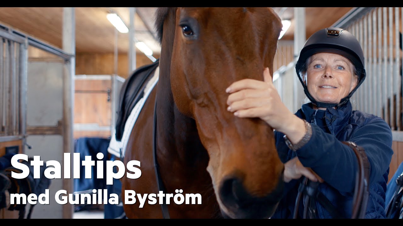 Stalltips med Gunilla Bystr&ouml;m