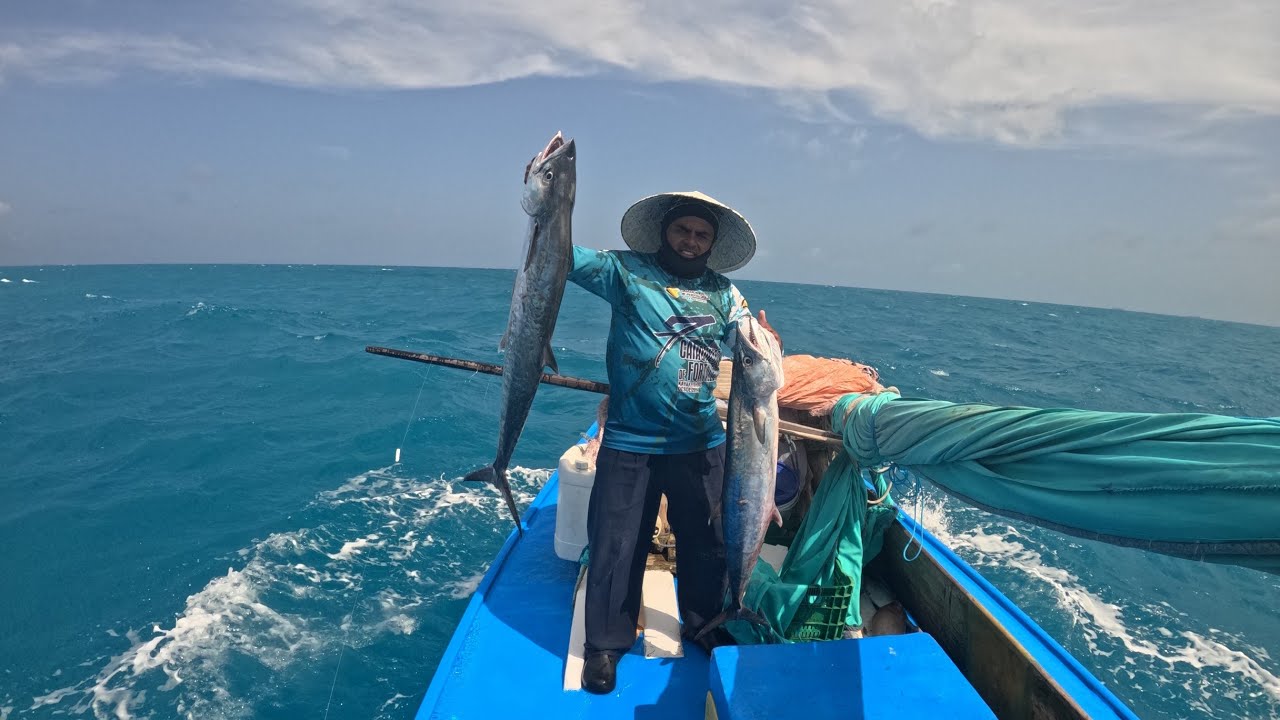 O MAR NOS PRESENTEOU COM UMA CAVALA QUE JAMAIS ESPERÁVAMOS. 