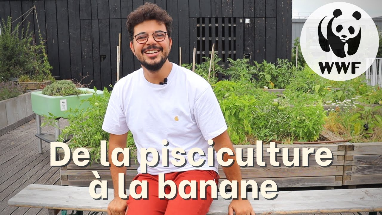Limiter l'impact de notre alimentation sur la planète ! (son parcours)