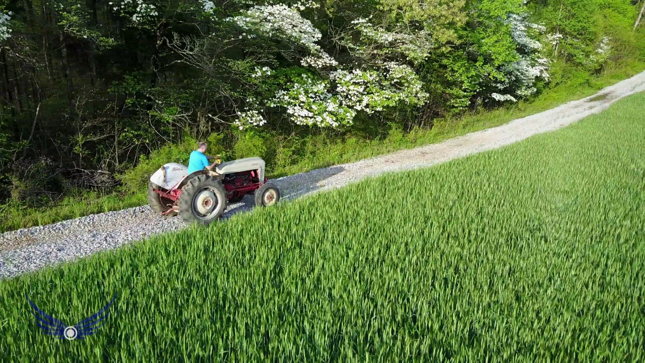 Ford Tractor Model 600 - Reborn