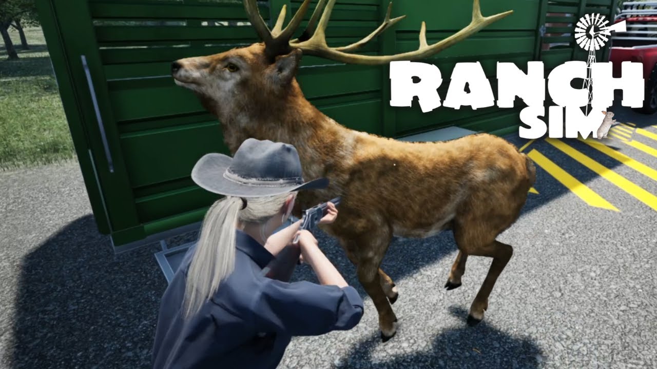 Ranch Simulator| S2| EP33| Animal trailer day and strange bear behaviour.