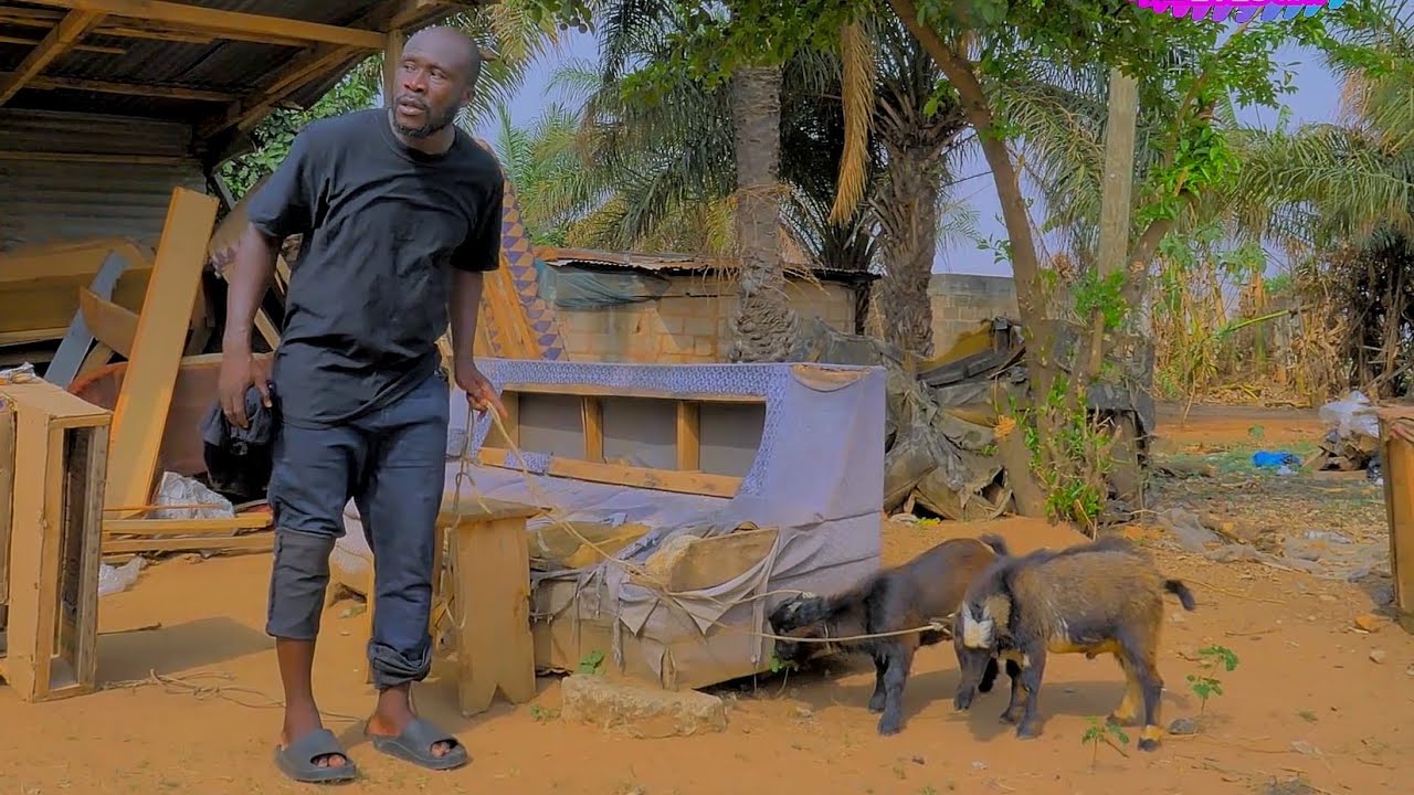AKABENEZER’S HAND IS FASTER THAN  EYES,  WENT TO STEAL 🐐APONKYE 😂 😂ft ALL STARS ✨