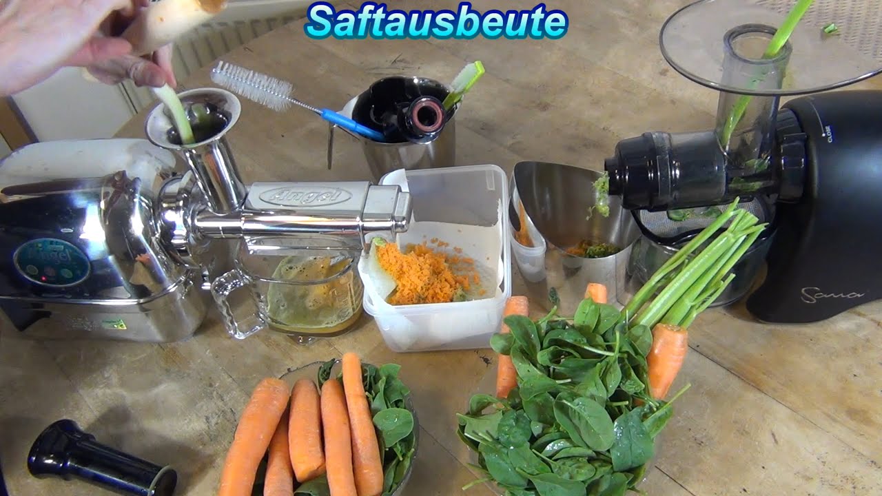 Sana vs. Angel Juicer im Test. Welcher Entsafter überzeugt im Vergleich & bietet die beste Hilfe?