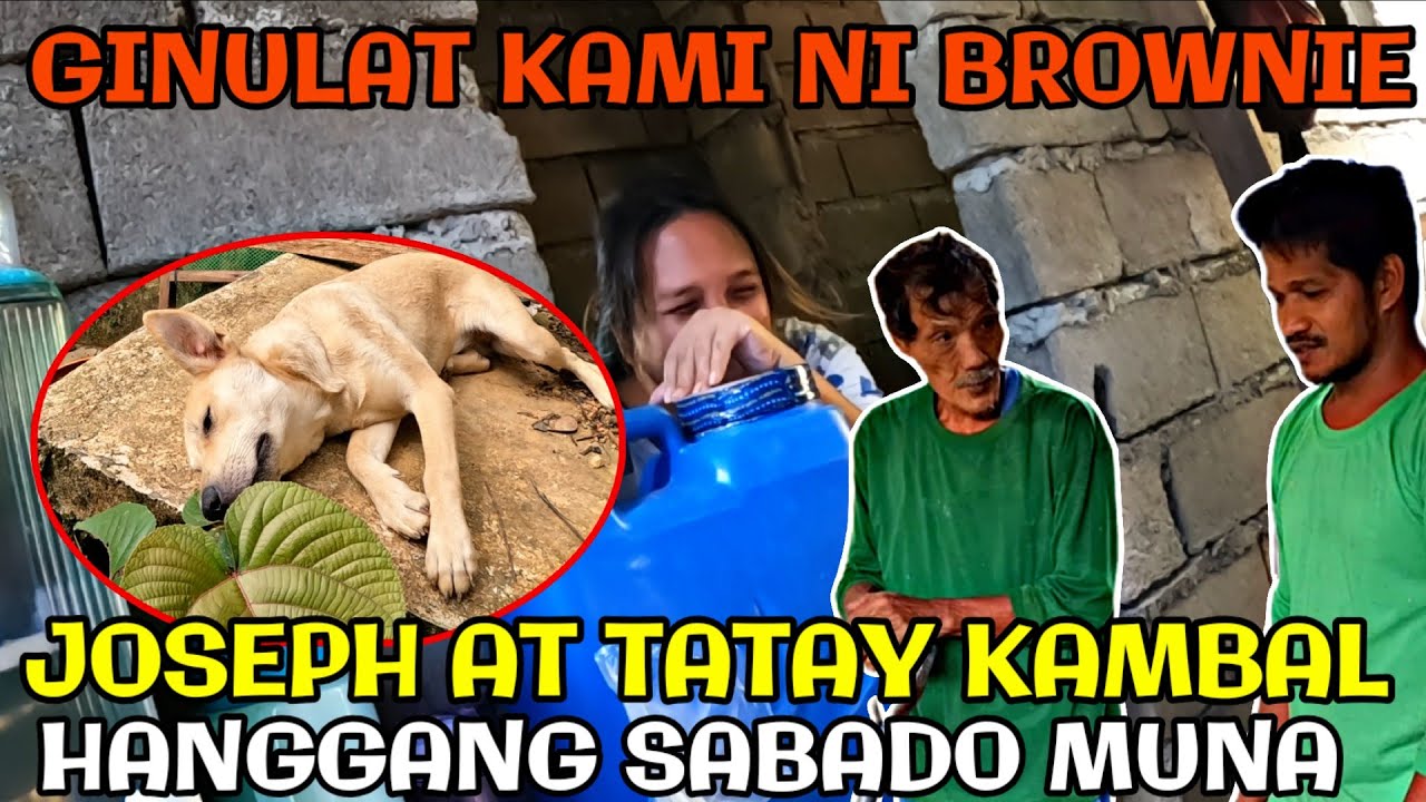 DAY-28 GINULAT MO KAMI BROWNIE