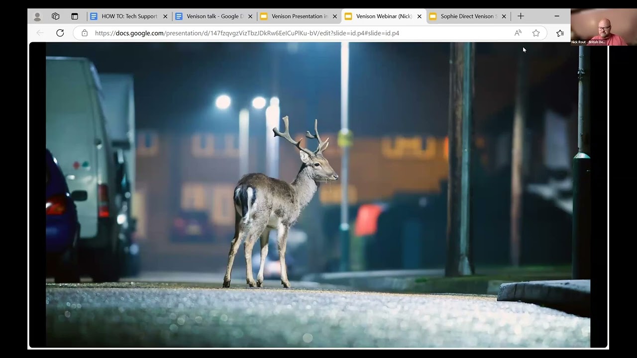 Sustainable and Nutritious: Why We Should be Eating Wild Venison