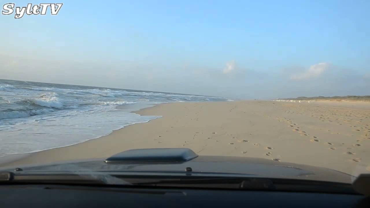 Starker Anstieg toter Seehunde auf Sylt