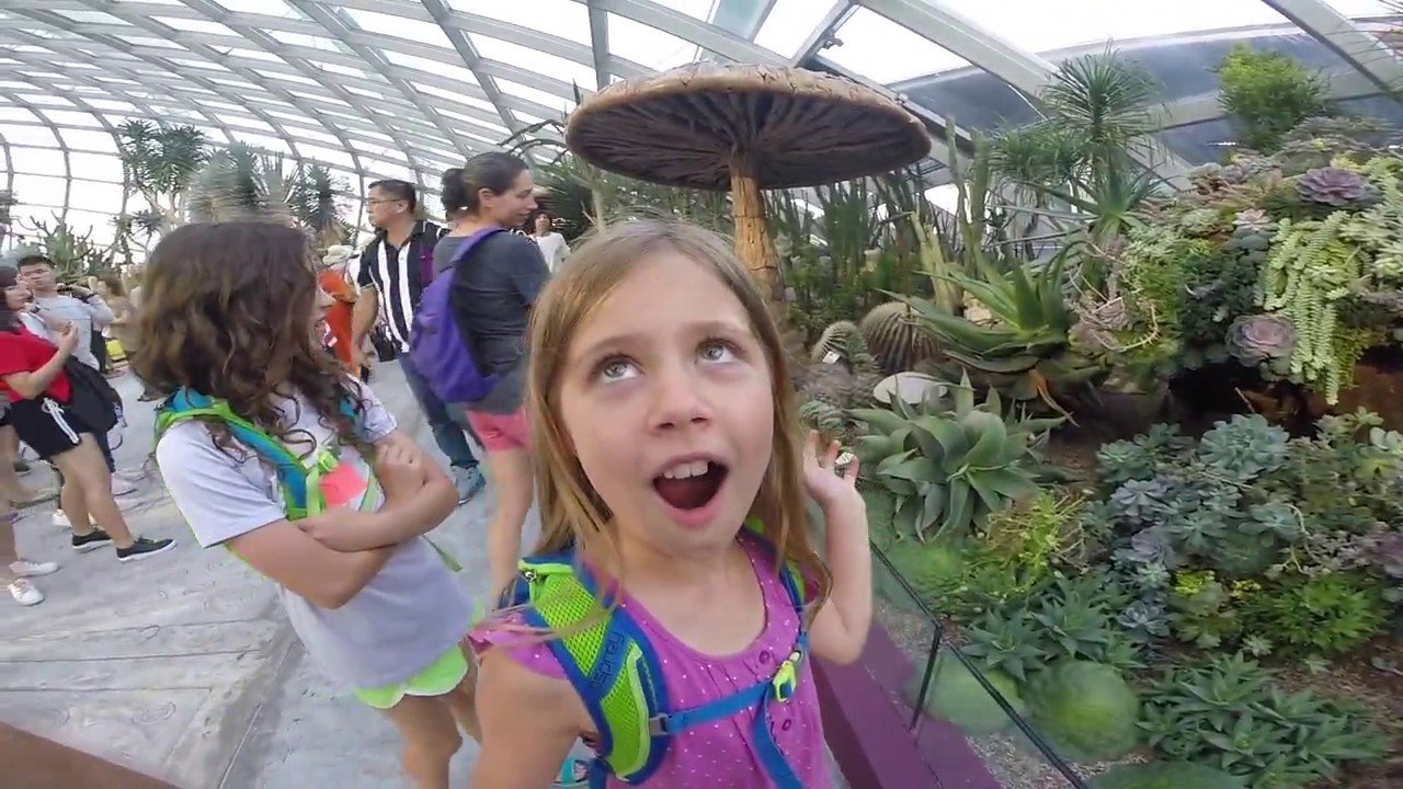 Singapore with Kids
