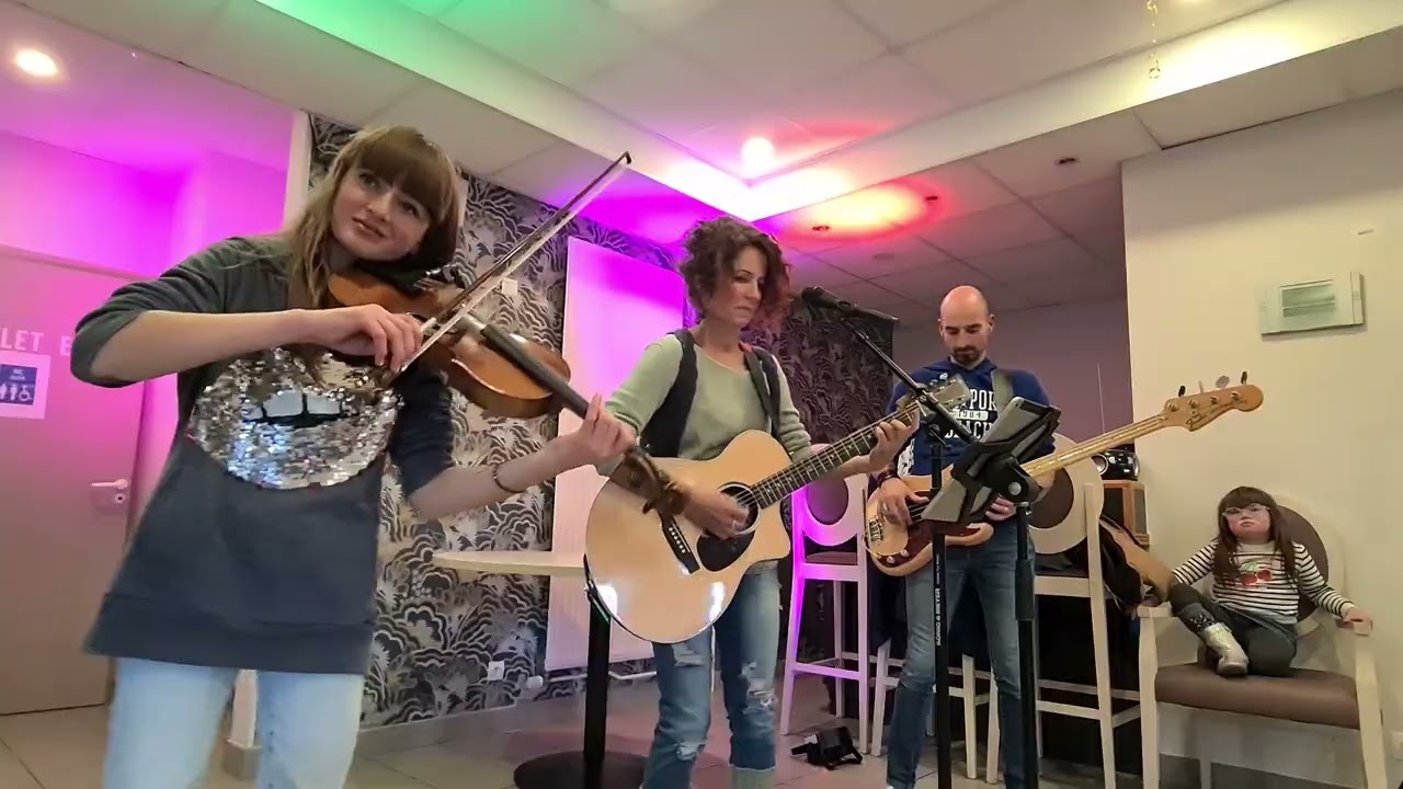 Concerning Hobbits from The Lord of the Rings - Violin,  Guitar,  Bass cover