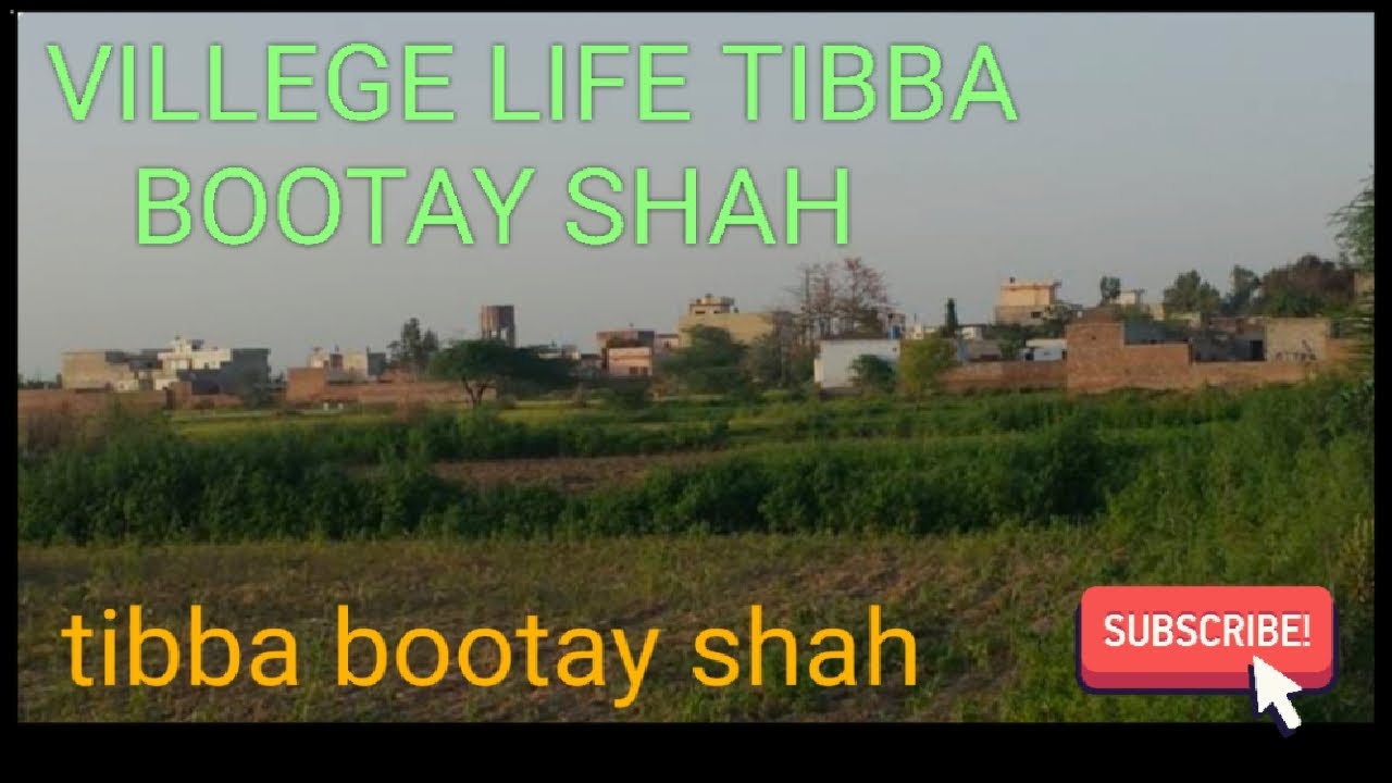 funny day moments in villege life tibba bootay shah
