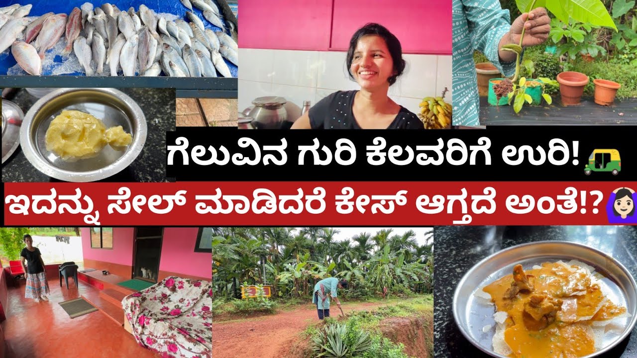 ಇದನ್ನು ಸೇಲ್ ಮಾಡಿದರೆ ಕೇಸ್ ಆಗ್ತದೆ ಅಂತೆ!?🙆🏻‍♀|ಗೆಲುವಿನ ಗುರಿ ಕೆಲವರಿಗೆ ಉರಿ!|Kannada vlogs|
