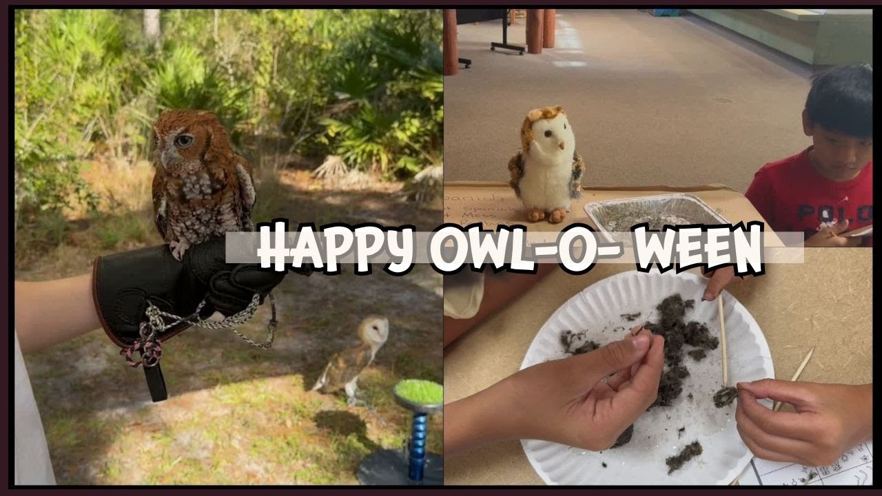 Let’s Find Owls! Our Owl-ween Adventure at Brooker Creek Preserve! | Owl-O-ween #owls