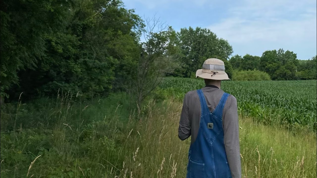 summer in a small town (extended)