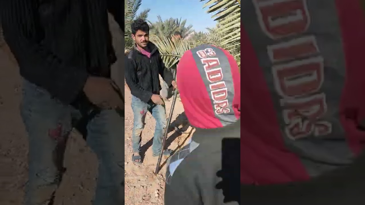 برحي وادي قنا مزرعة طارق الخولي 01024100509 تلفونات م نخله