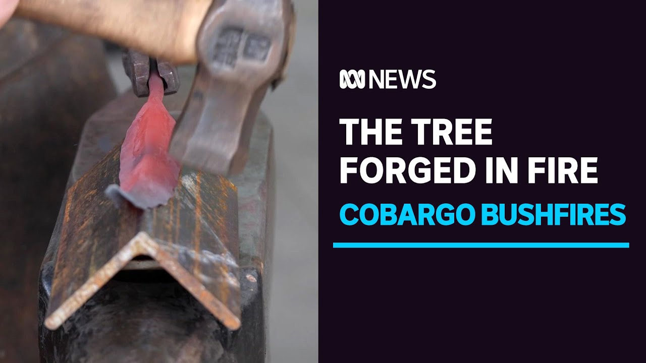 Bushfire-ravaged Cobargo comes together to create special memorial | ABC News