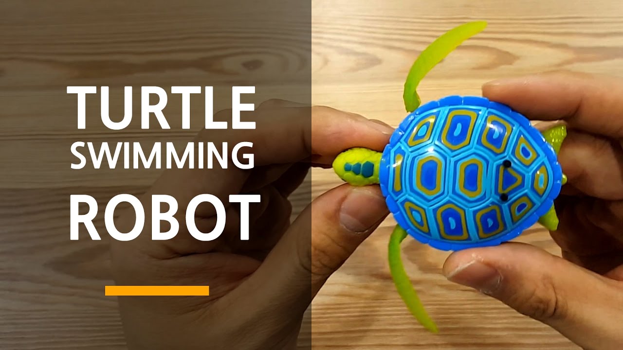 Robot Toys : Robo Turtle Toy Swimming in The Water