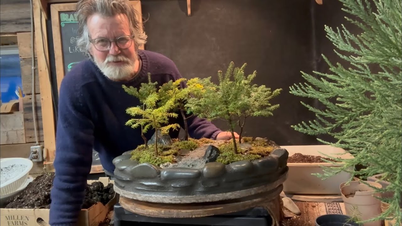 part two planting my new bonsai pot