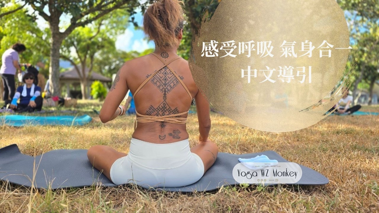靜心呼吸【感受呼吸 氣身合一】中文引導｜穩定心神、放鬆身心、呼吸調息 YogaWZMOKEY