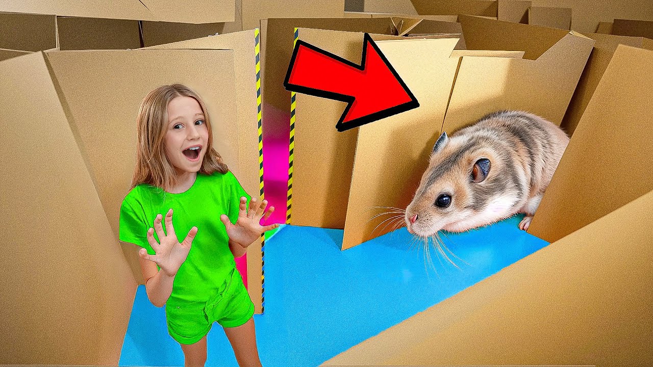 Nastya and her hamster’s cardboard maze adventure