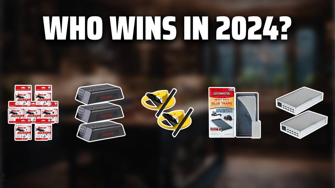 The Best Mouse Traps in 2024 - Must Watch Before Buying!