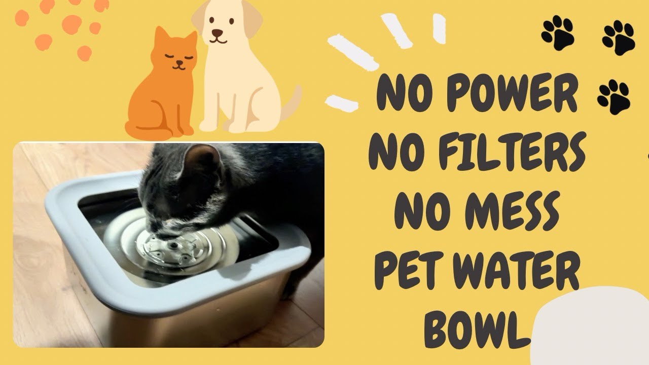 Napster & Jade Test This No-Spill No Power Needed Pet Water Bowl