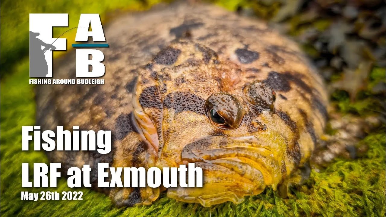 LRF Fishing at Exmouth - May 26th 2022