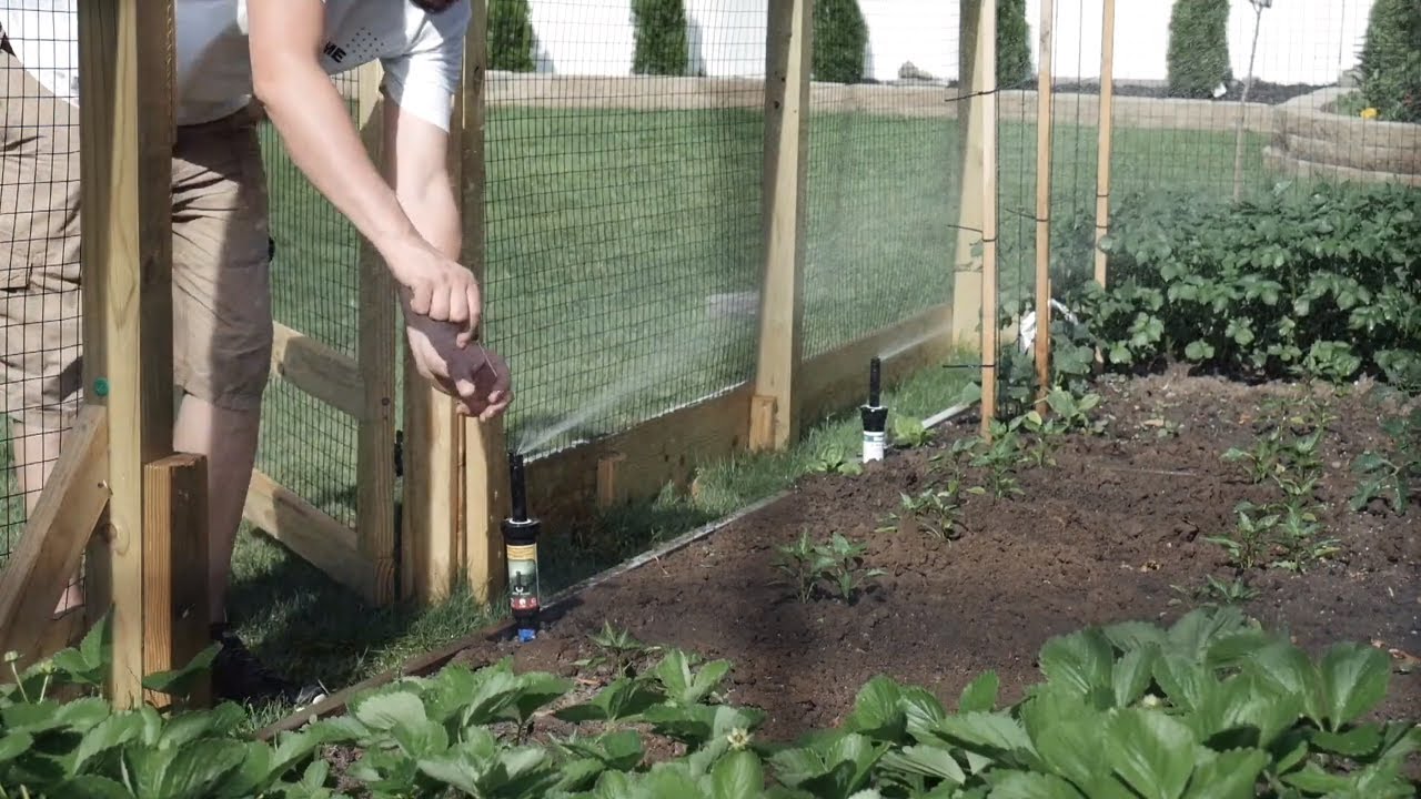 Watering raised garden bed with pop up sprinklers - Why mess with drip irrigation?