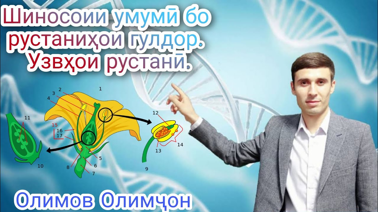Узвхои растании гулдор. мукадима.