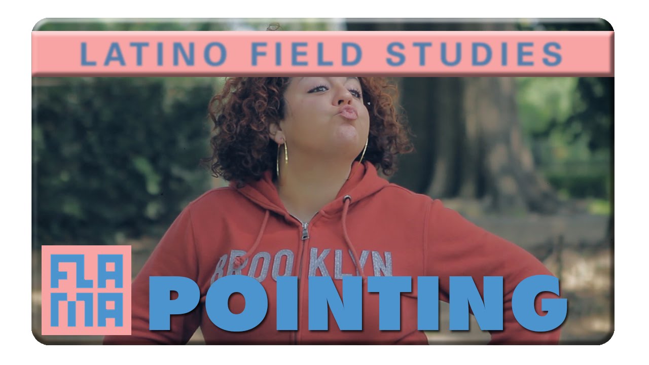 The Lip Purse - Latino Field Studies