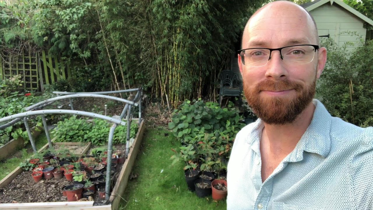 Growing Trees BIG update a year on, with 14 species
